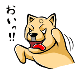 Pomeranian of Mame-shiba type hair style sticker #8186505