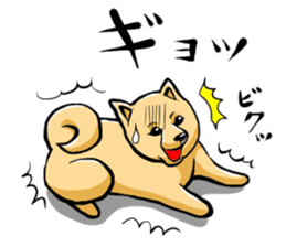 Pomeranian of Mame-shiba type hair style sticker #8186506