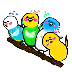A 4 parakeets