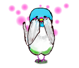 A 4 parakeets sticker #8186989