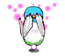 A 4 parakeets sticker #8186989