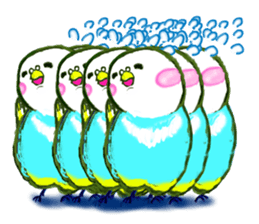 A 4 parakeets sticker #8186994