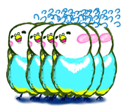 A 4 parakeets sticker #8186994