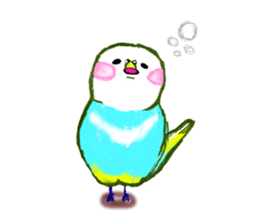 A 4 parakeets sticker #8186997