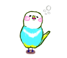 A 4 parakeets sticker #8186997