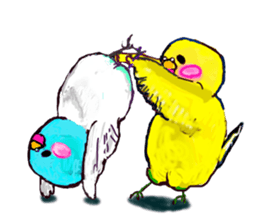 A 4 parakeets sticker #8186998