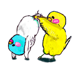 A 4 parakeets sticker #8186998