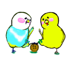 A 4 parakeets sticker #8187000