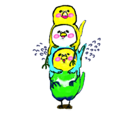 A 4 parakeets sticker #8187001