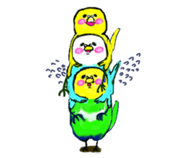 A 4 parakeets sticker #8187001