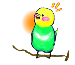 A 4 parakeets sticker #8187004
