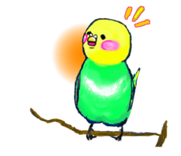 A 4 parakeets sticker #8187004