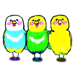 A 4 parakeets sticker #8187010