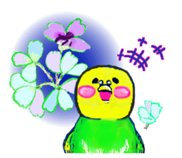 A 4 parakeets sticker #8187016