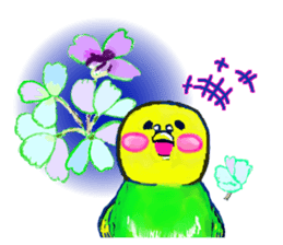 A 4 parakeets sticker #8187016