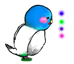 A 4 parakeets sticker #8187018