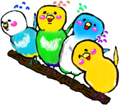 A 4 parakeets sticker #8187024