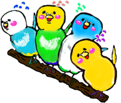 A 4 parakeets sticker #8187024