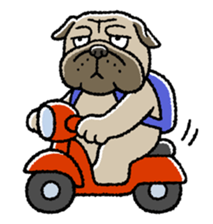 Kawaii ugly PUGTARO sticker #8189437