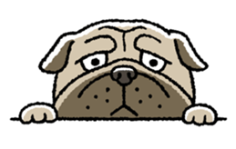 Kawaii ugly PUGTARO sticker #8189450