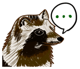 Fox and Raccoon dog 2 sticker #8191291