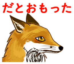 Fox and Raccoon dog 2 sticker #8191299