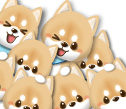 Shibacchi3 sticker #8191367
