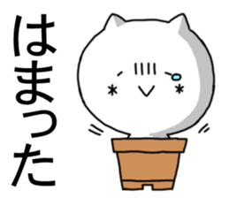 kaomozi cat4 sticker #8197763