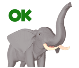 Elephant and Rhinoceros Sticker sticker #8199148