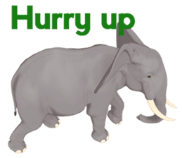 Elephant and Rhinoceros Sticker sticker #8199156