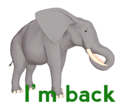 Elephant and Rhinoceros Sticker sticker #8199158