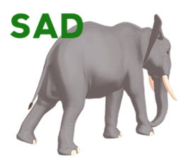 Elephant and Rhinoceros Sticker sticker #8199162