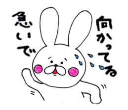 Rabbit name USA sticker #8199712