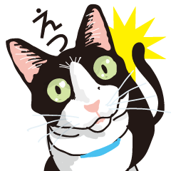 Friend of a pleasant cat 03