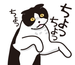 Friend of a pleasant cat 03 sticker #8201278