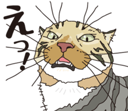 Friend of a pleasant cat 03 sticker #8201279