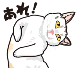 Friend of a pleasant cat 03 sticker #8201281