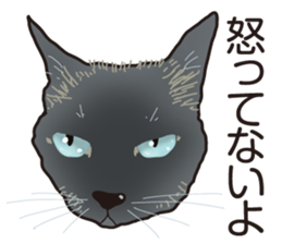 Friend of a pleasant cat 03 sticker #8201285