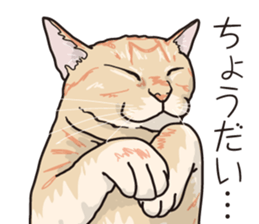 Friend of a pleasant cat 03 sticker #8201304