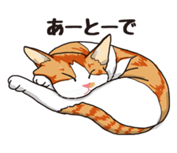 Friend of a pleasant cat 03 sticker #8201305