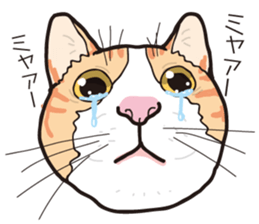 Friend of a pleasant cat 03 sticker #8201306