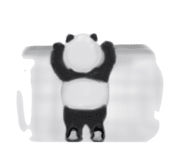 Angry Panda sticker #8202606