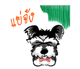 Mini Schnauzer sticker #8204114