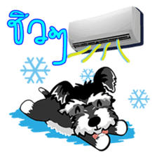 Mini Schnauzer sticker #8204116