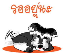 Mini Schnauzer sticker #8204117