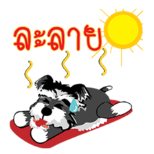 Mini Schnauzer sticker #8204120