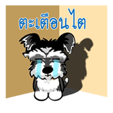 Mini Schnauzer sticker #8204121