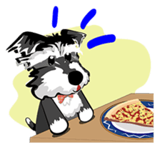 Mini Schnauzer sticker #8204122