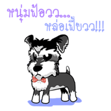 Mini Schnauzer sticker #8204123