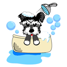 Mini Schnauzer sticker #8204127